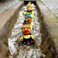 rubber-duck-bath-duck-toys-costume-106144