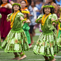 hawaiian-hula-dancers-377653_960_720
