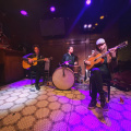 The Frenchtown Playboys