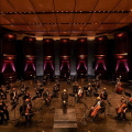 New Jersey Symphony Orchestra