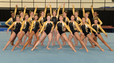 Towson Gymnastics