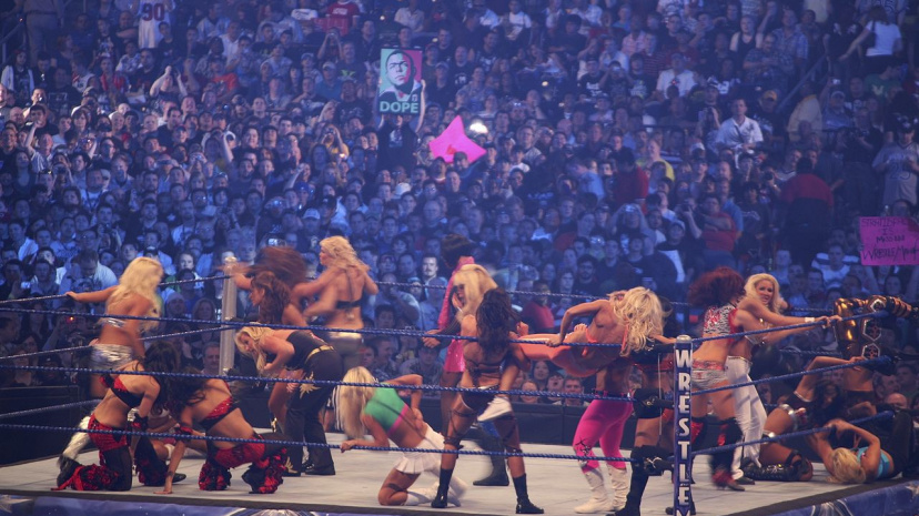 1280px-Diva_Battle_Royal_at_WrestleMania_25_2.jpg