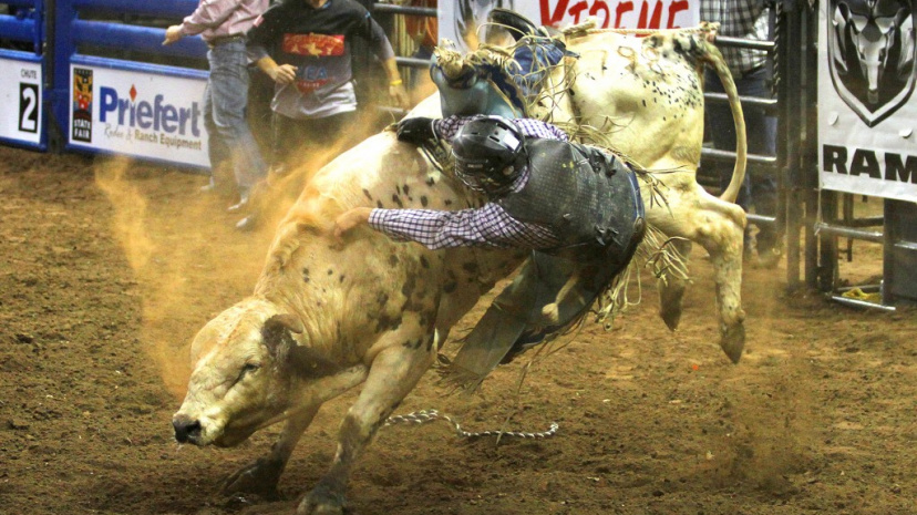 BULL-RIDING-071_02.jpg