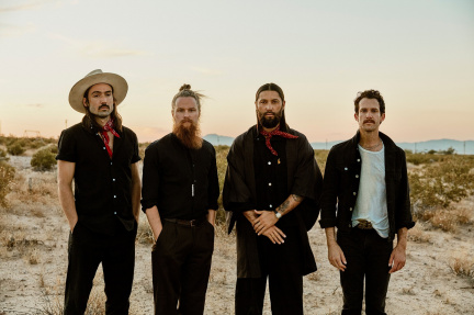 Grizfolk
