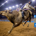 Houston Livestock Show and Rodeo 3