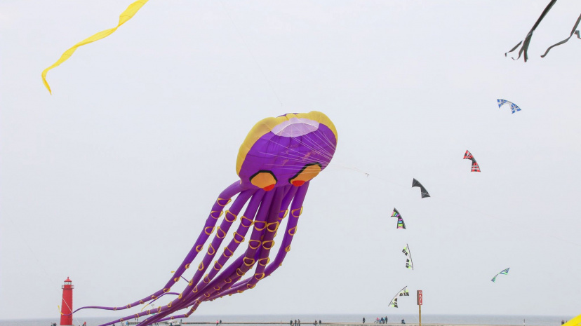Great Lakes Kite Festival 3.jpg