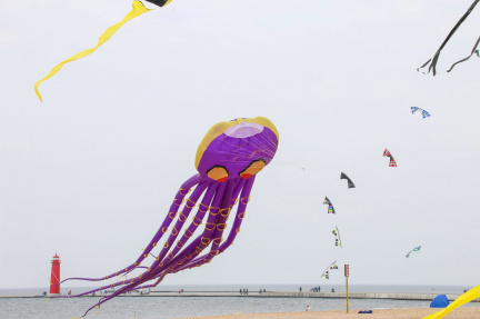Great Lakes Kite Festival 3