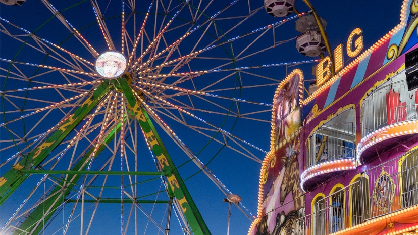 California State Fair4.jpg