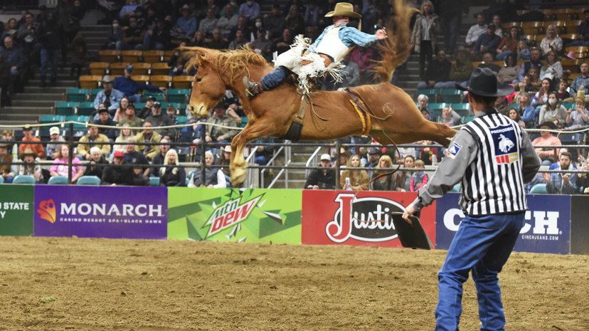 National Western Stock Show5.jpg