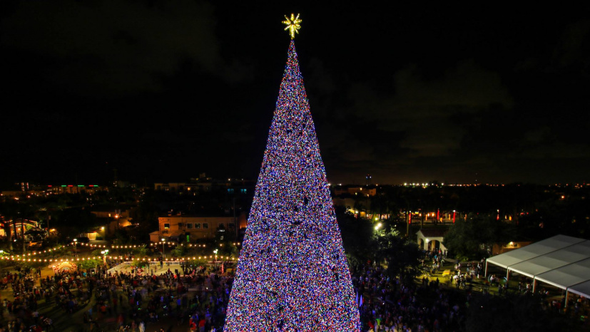 Delray Beach Christmas Tree Lighting2.jpg