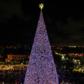 Delray Beach Christmas Tree Lighting2