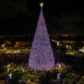 Delray Beach Christmas Tree Lighting
