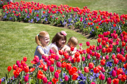 Tulip Festival Thanksgiving Point Utah4