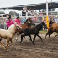 Nebraska's Big Rodeo Burwell 1