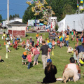 Gold Discovery Days Custer South Dakota