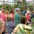 Fort Lauderdale Orchid Show Fort Lauderdale Florida