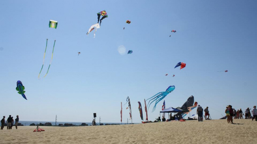 Rogallo Kite Festival Nags Head North Carolina.jpg