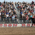 La Fiesta de los Vaqueros Tucson Rodeo