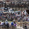 Woodchopper’s Jamboree & Rodeo