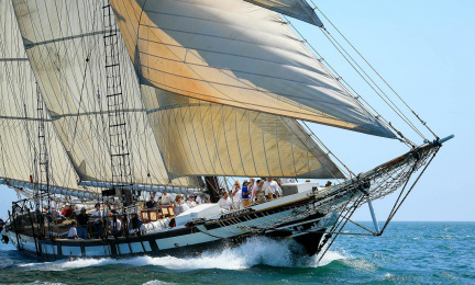 Festival Of The Sea
