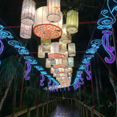 Asian Lantern Festival