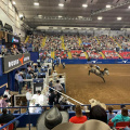Rodeo Austin Austin TX