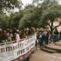 Martin Luther King March and Festival Austin TX
