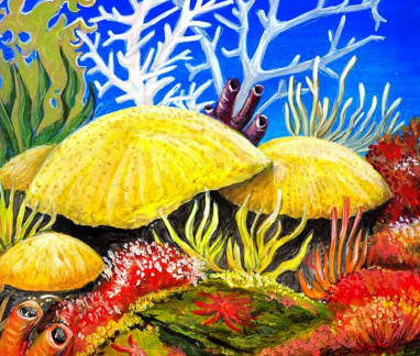 Colorful Coral
