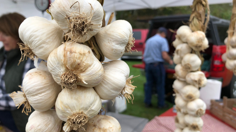 Connecticut Garlic and Harvest Festival.jpg