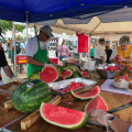 Carytown Watermelon Festival VA