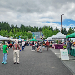 CULTURAL CROSSROADS FESTIVAL Bellevue WA