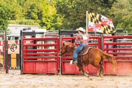Wicomico County Fair Salisbury