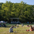 Festival 9 Bat Cave NC