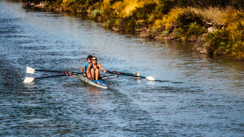 rowing-rowing-boat-channel-water-1.jpg