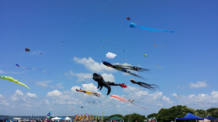Newport Kite Festival Providence Rhode Island.jpg