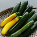 Cucurbita_pepo_Summer_Squash_Yellow_and_Green_Zucchini_zucchine