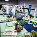 Air Plant + Succulent Aquarium Terrarium Workshop
