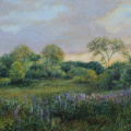 Jane Herbert a Solo Exhibition of Paintings