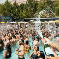 Desert Drip Fest