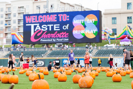 Welcome-to-TOC-with-Pumpkins-7-Miranda-Reger-Photography