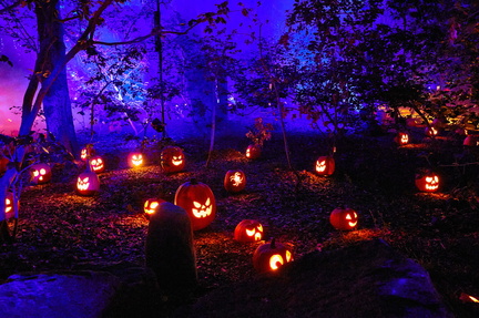 CARVED