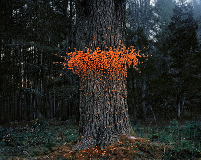 Best Contemporary Photography