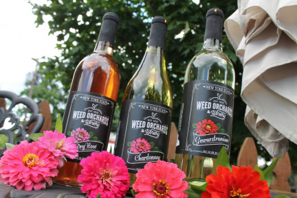 Apples and Wine Festival