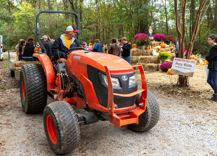Alabaster Fall Fest4
