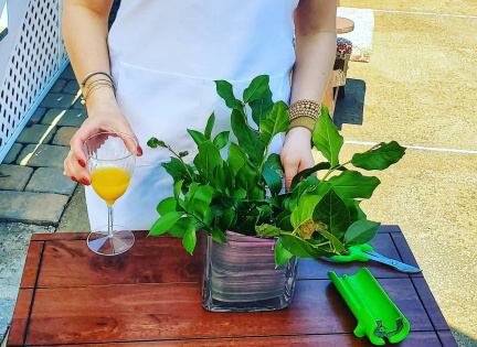 Flower Arrangement Class and Cocktails