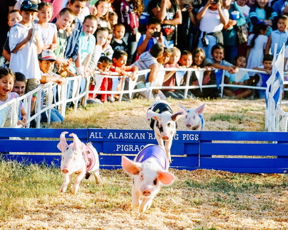 Kern County Fair @ Kern County Fairgrounds