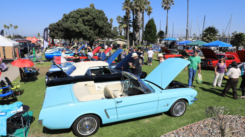 Ponies by the Sea Car Show.jpg