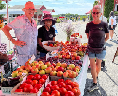Apples and Wine Festival