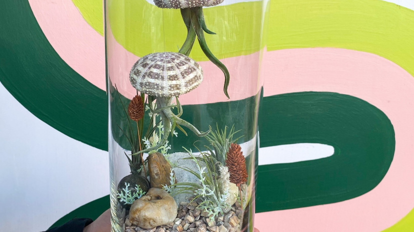 Jellyfish Terrarium Workshop - PlantHouse Charleston.jpg