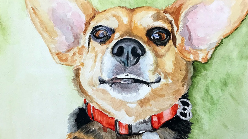 Painting Pet Portraits By Jennifer Redstreake (instructor).jpg